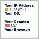 Your IP, Browser, OS Details