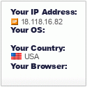 IP Address Checker
